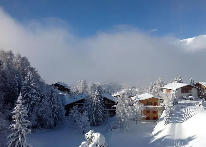 Mountain View Cosy, Comfortable 1 Bed-room Luxury Apartment